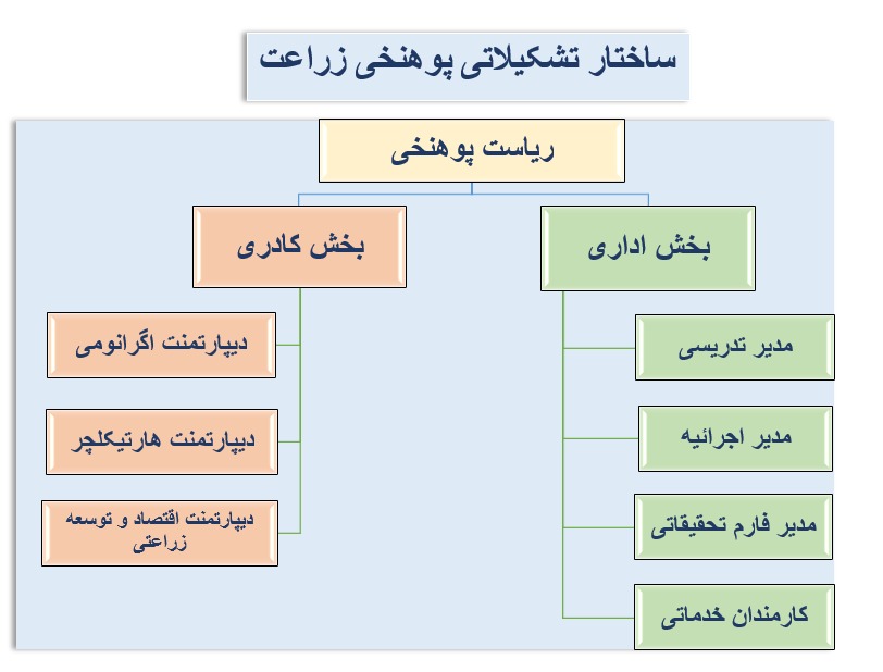 تشکیلات